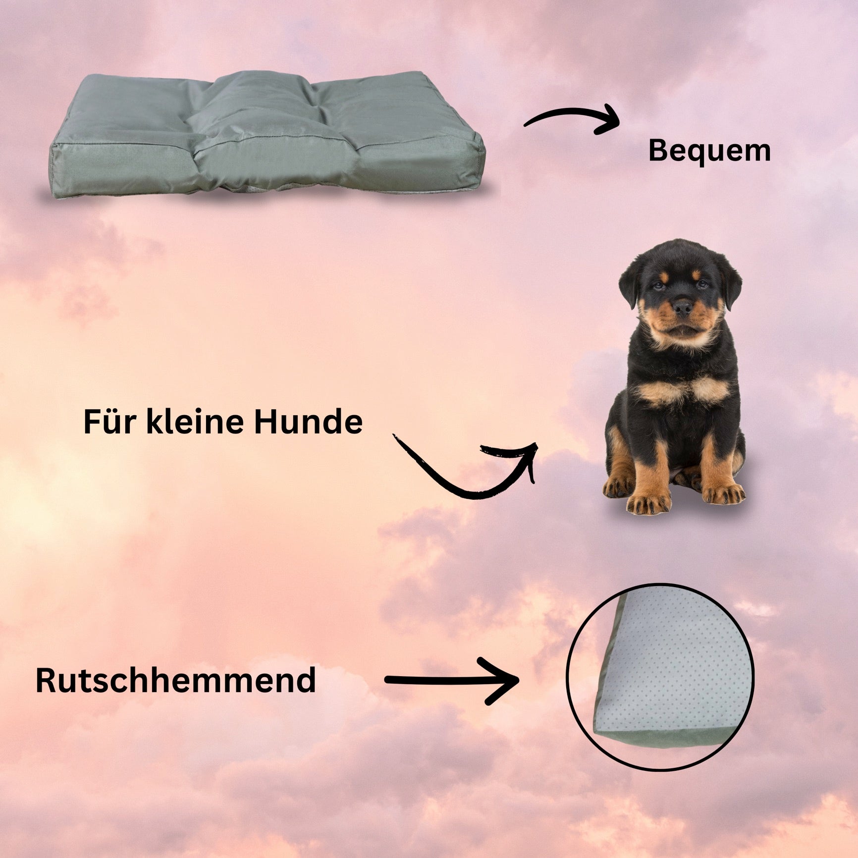 FROSAL Hundekissen Größe M