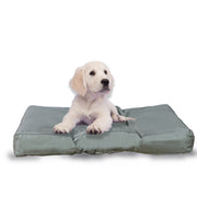 FROSAL Hundekissen Größe M