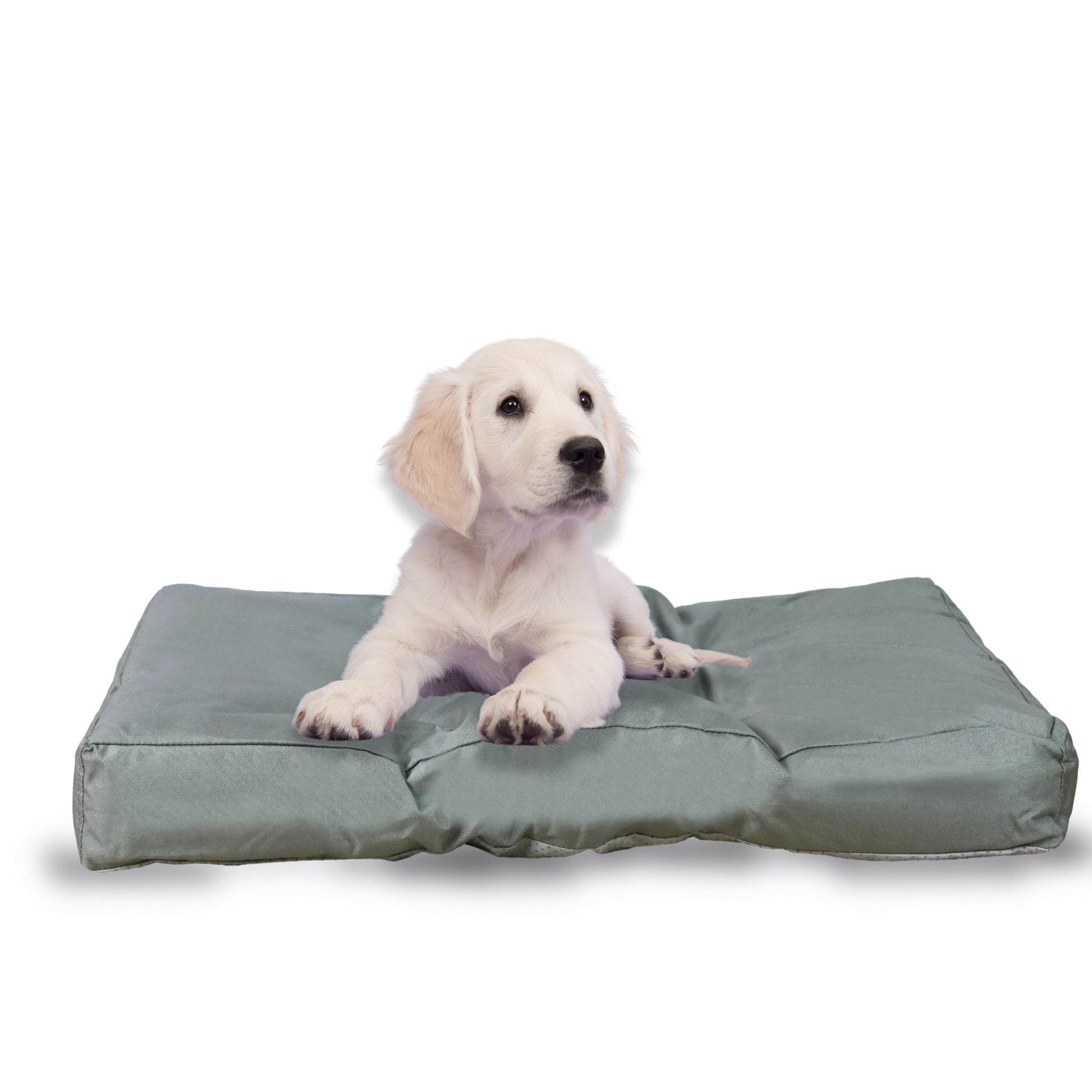 FROSAL Hundekissen Größe M