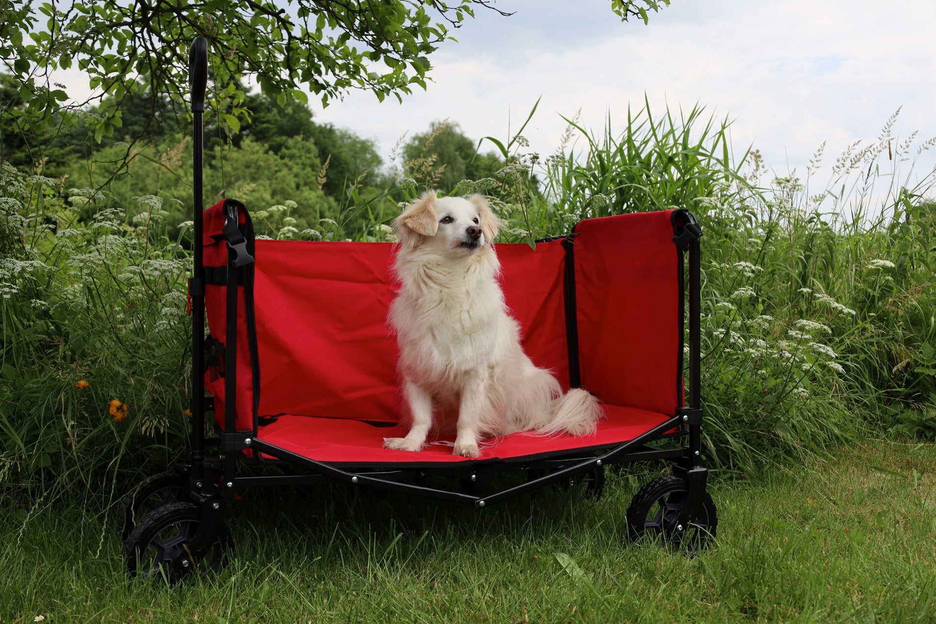FROSAL Bollerwagen Bruno grau