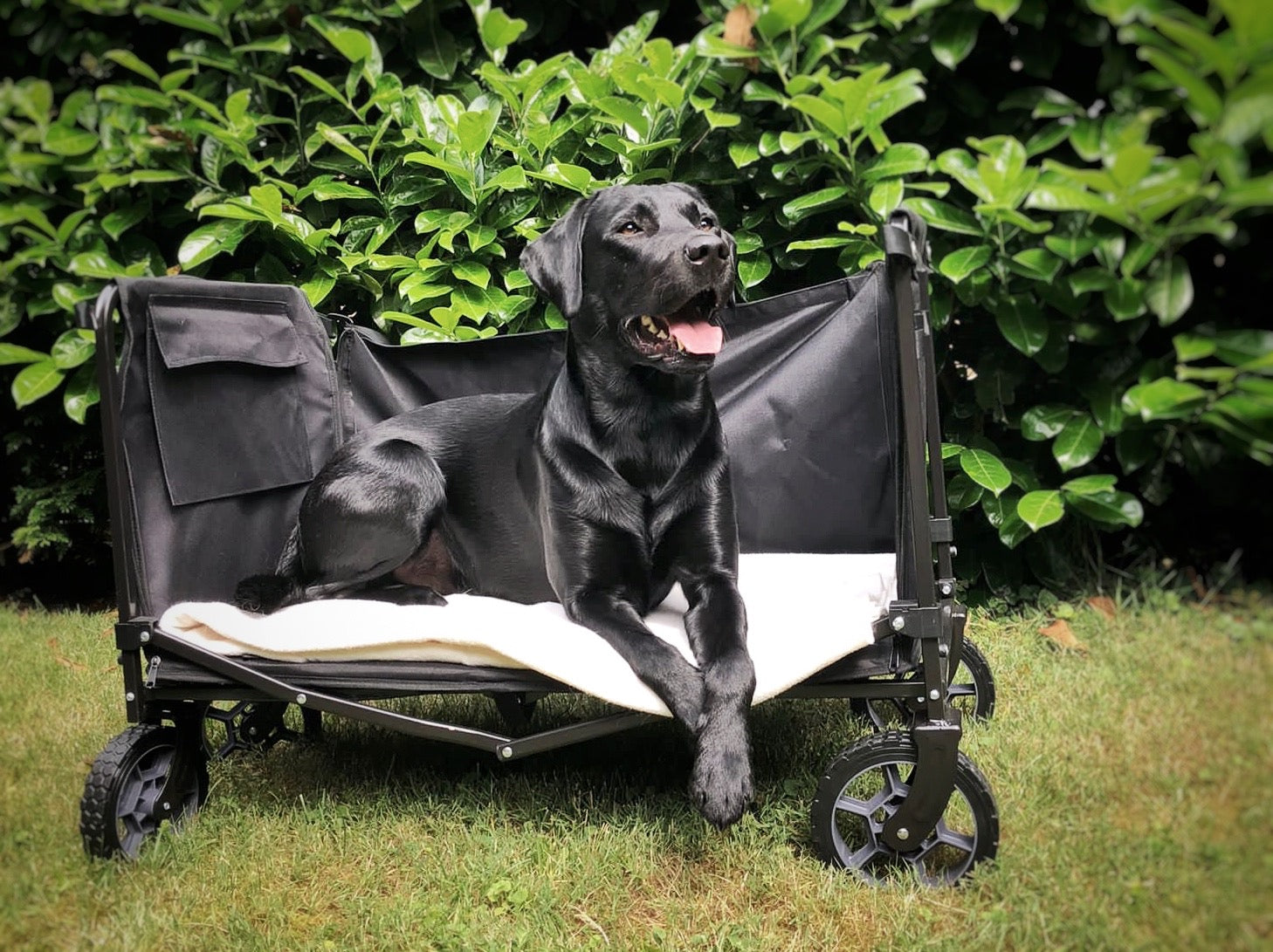 FROSAL Bollerwagen Bruno rot