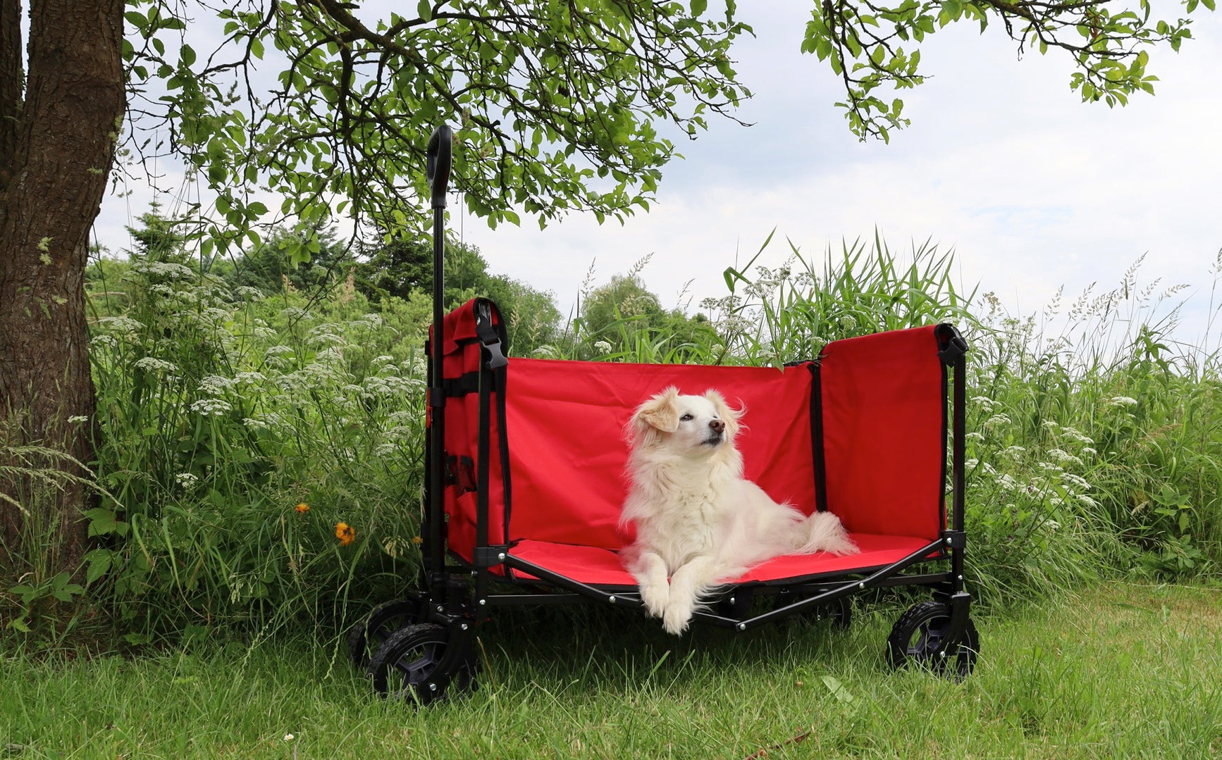 FROSAL Bollerwagen Bruno rot